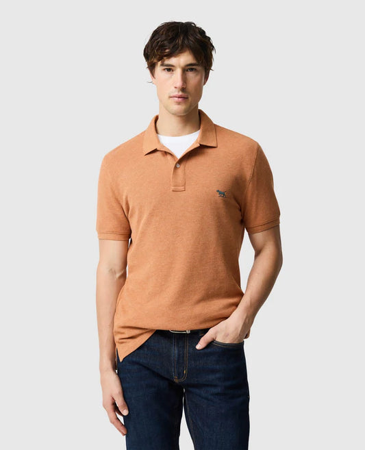 The Gunn Polo Sunset