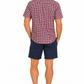 Burgundy Gingham Short Sleeve Cotton Shirt