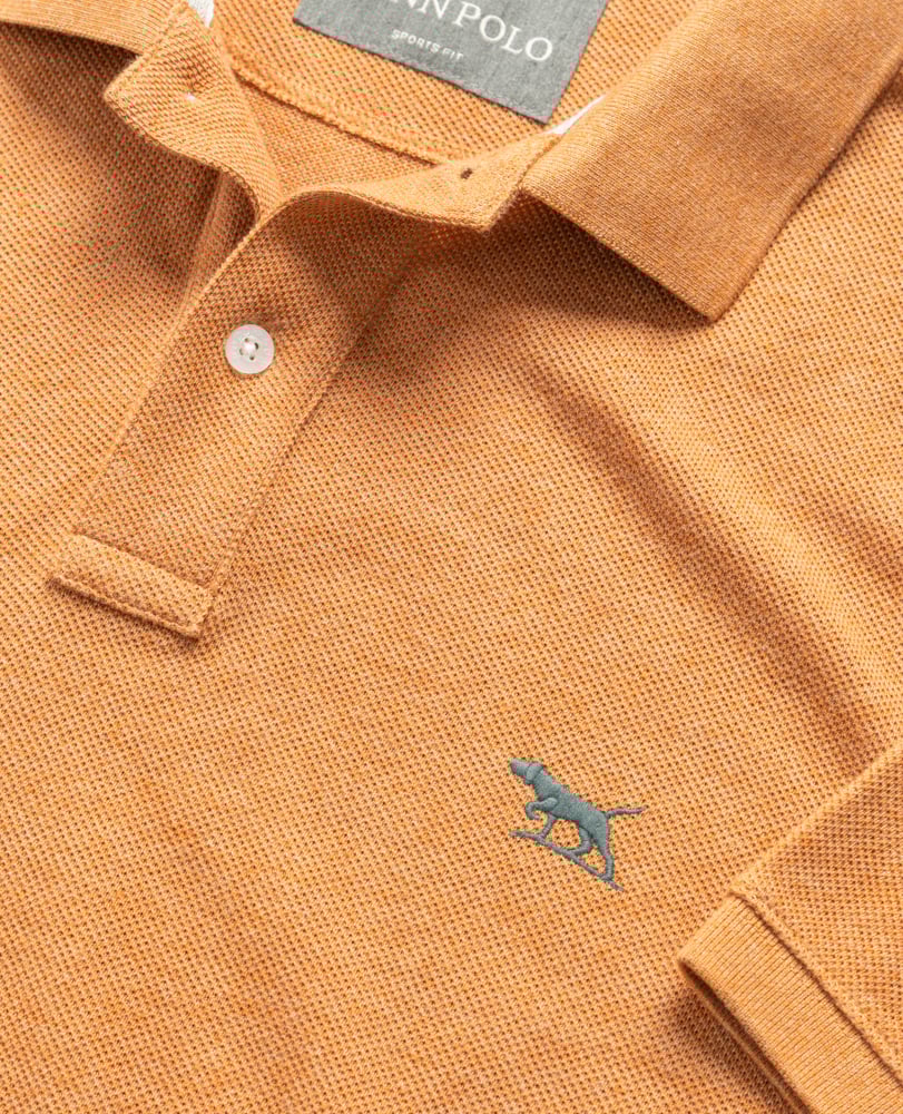 The Gunn Polo Sunset