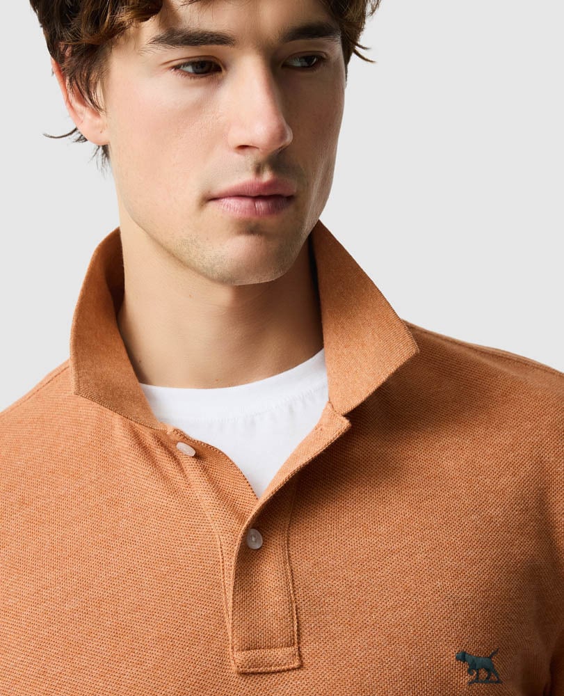 The Gunn Polo Sunset