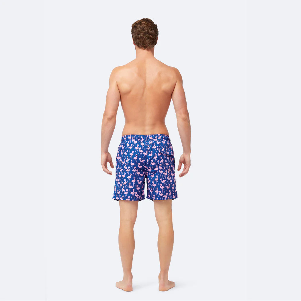 Mens Flamingo Swimmers