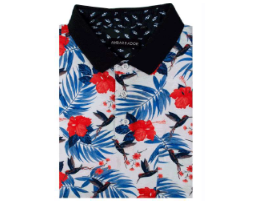 Hawaii Polo