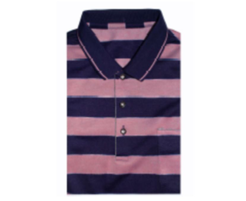 Red and Navy Stripe Polo