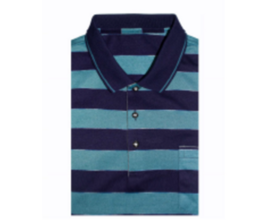 Teal Stripe Polo