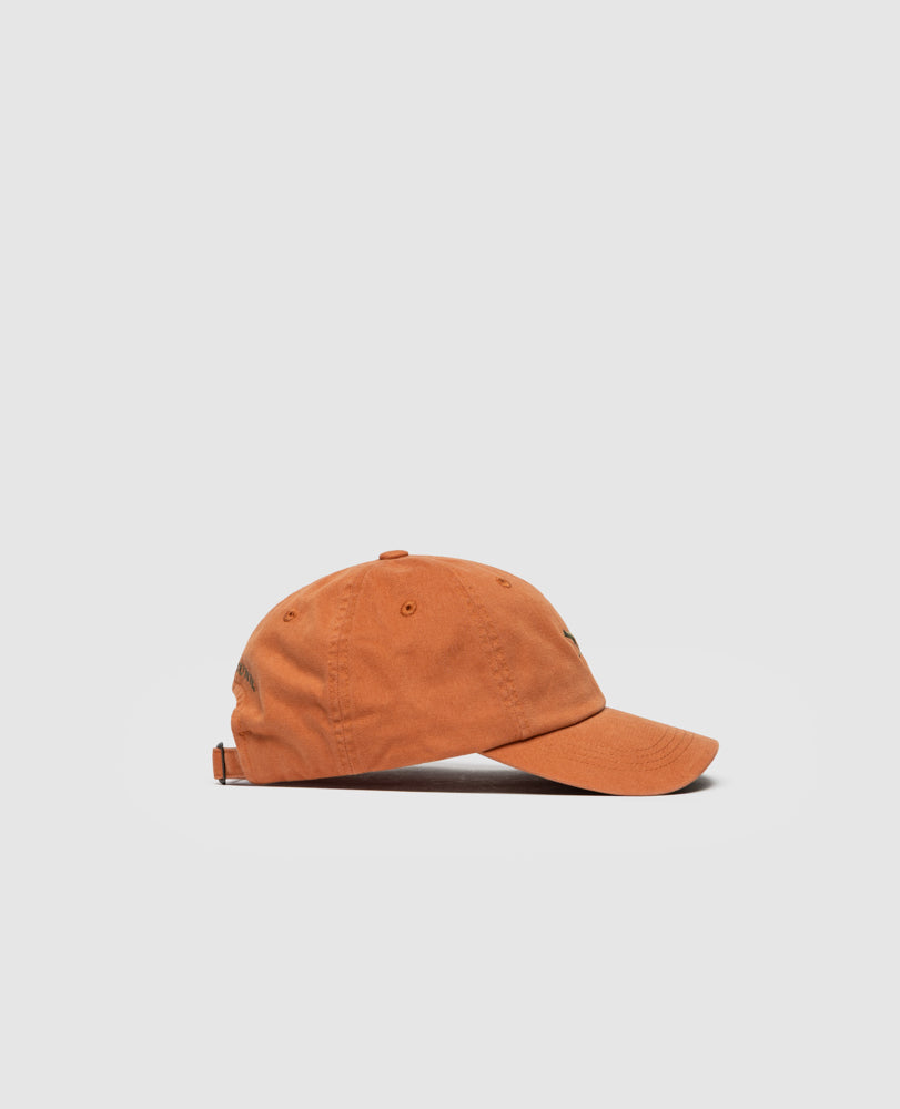 Pumpkin Signature Cap